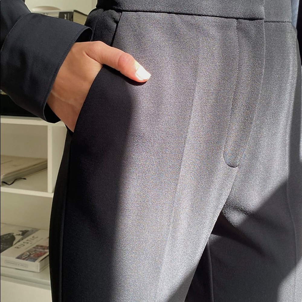 Aritzia Babaton Renzo pant